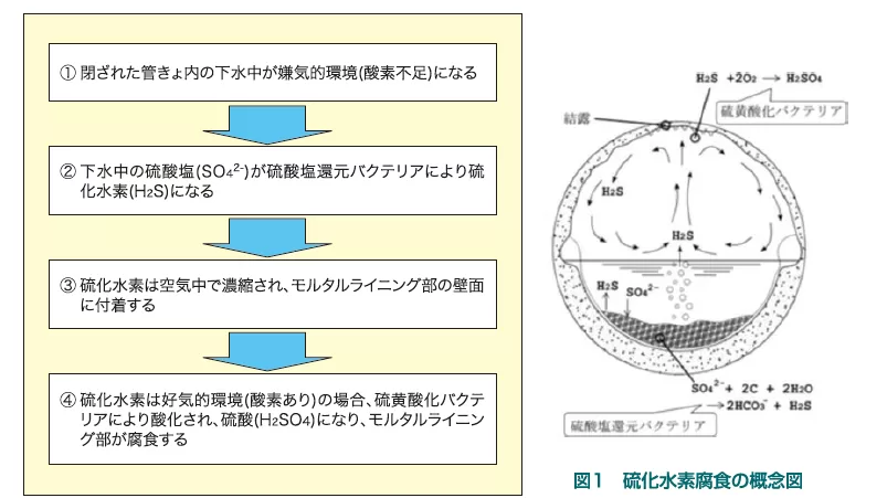 だくたいる交換腐食